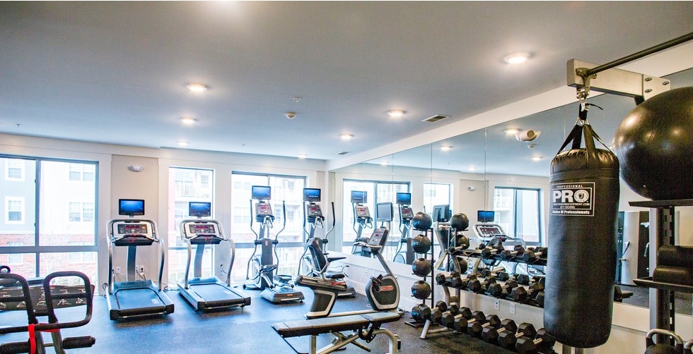 Bedford Hall fitness center with cardio equipment, free weights, and floor-to-ceiling windows